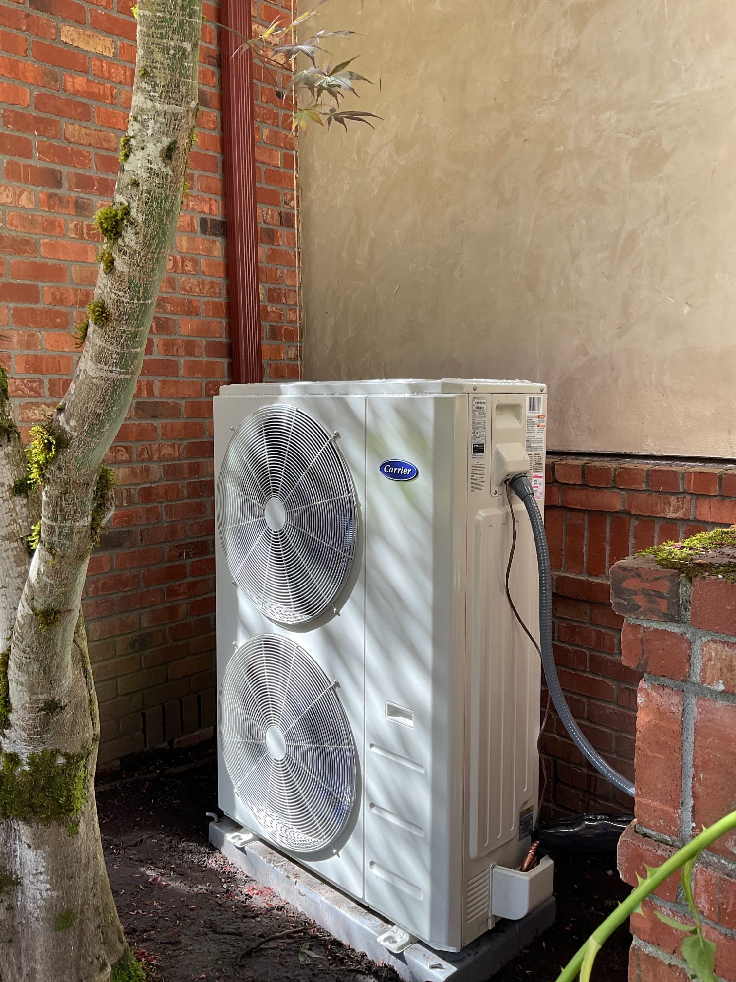 Pelican Heating & Air technician providing expert Daikin heat pump installation in Bellevue home, ensuring energy efficiency