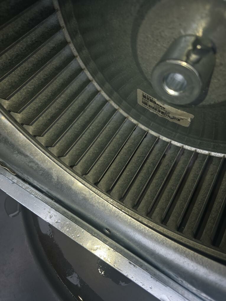 Pelican Heating & Air technician performing premium furnace cleaning in Redmond, WA home, ensuring efficiency and safety