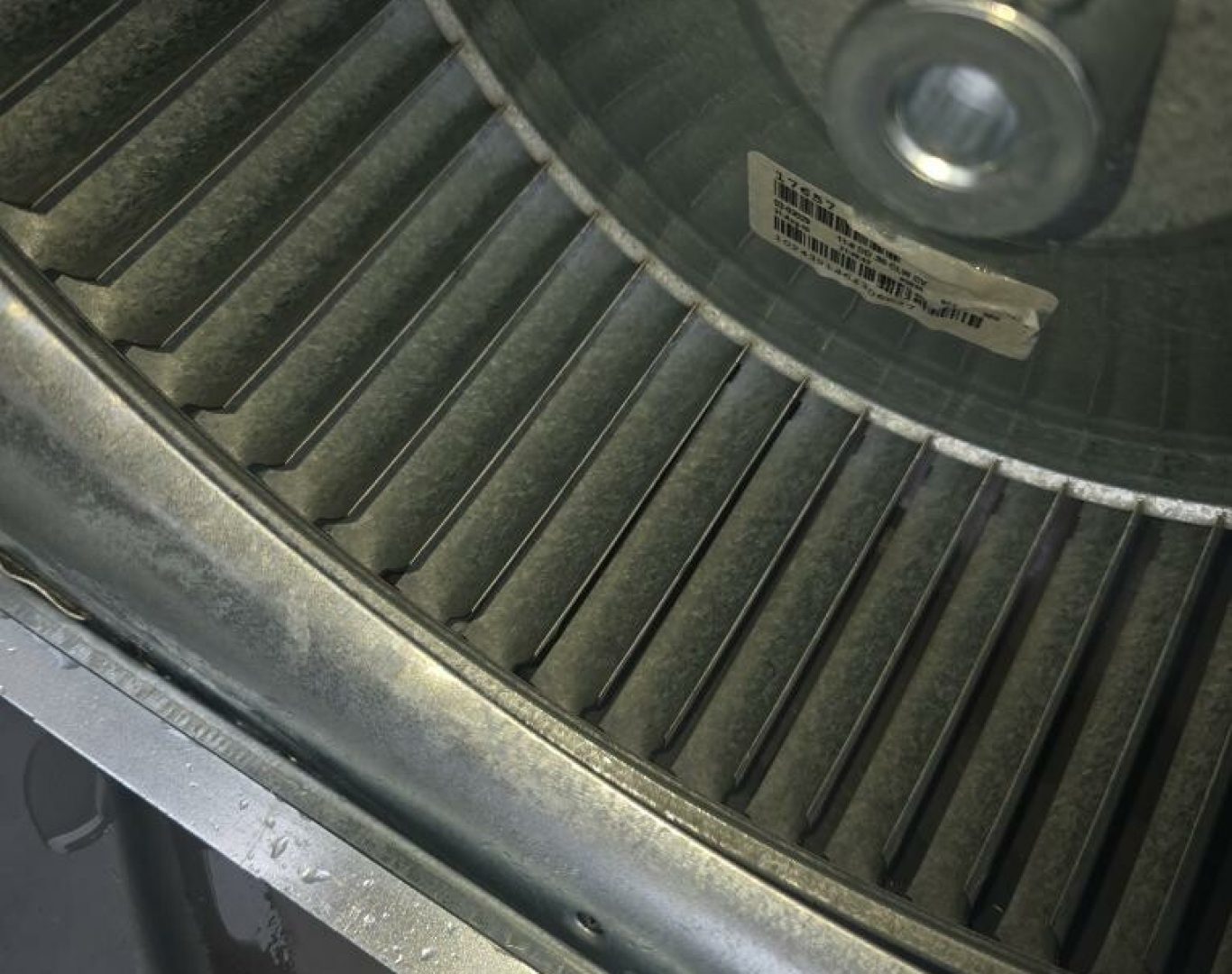 Pelican Heating & Air technician performing premium furnace cleaning in Redmond, WA home, ensuring efficiency and safety